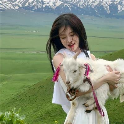 锦上添花